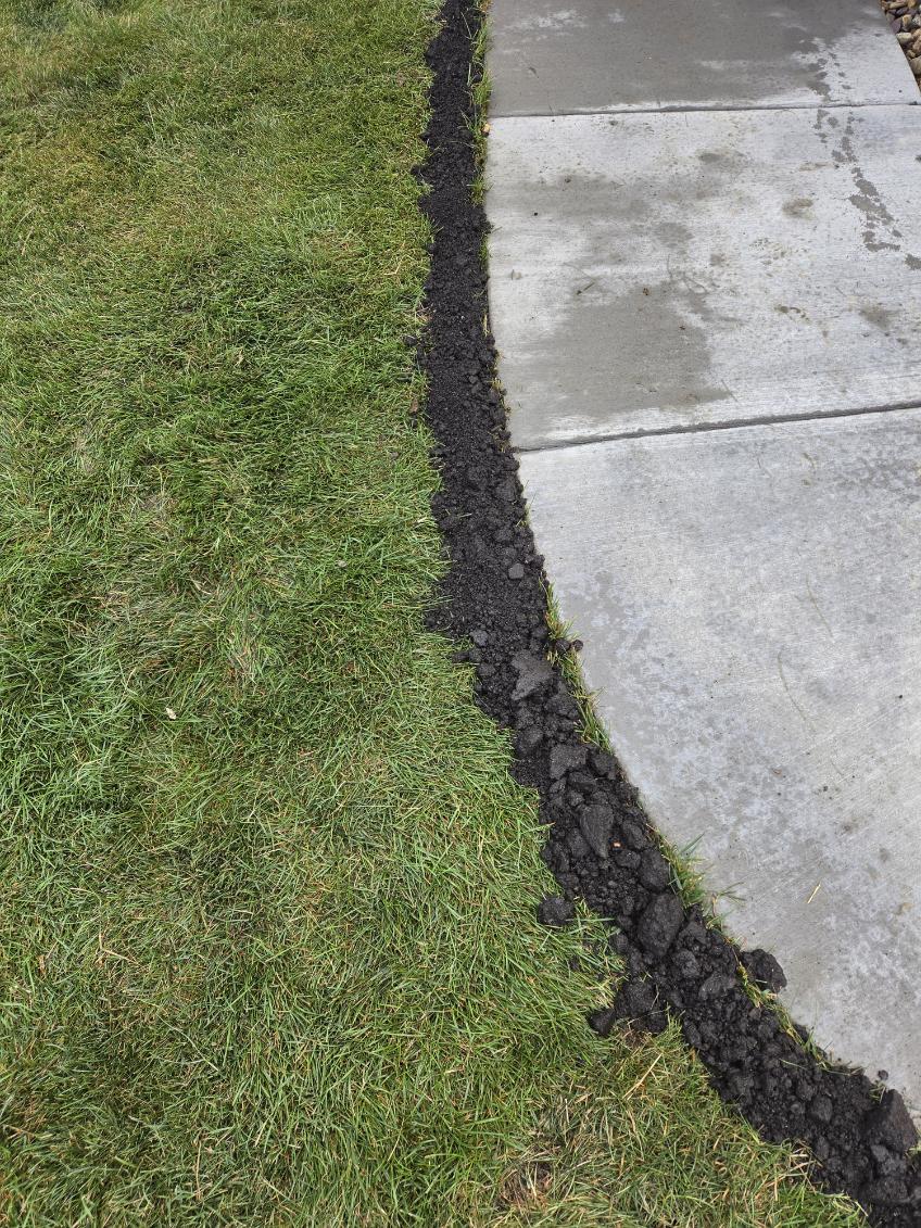 New concrete sidewalk running beside the lawn