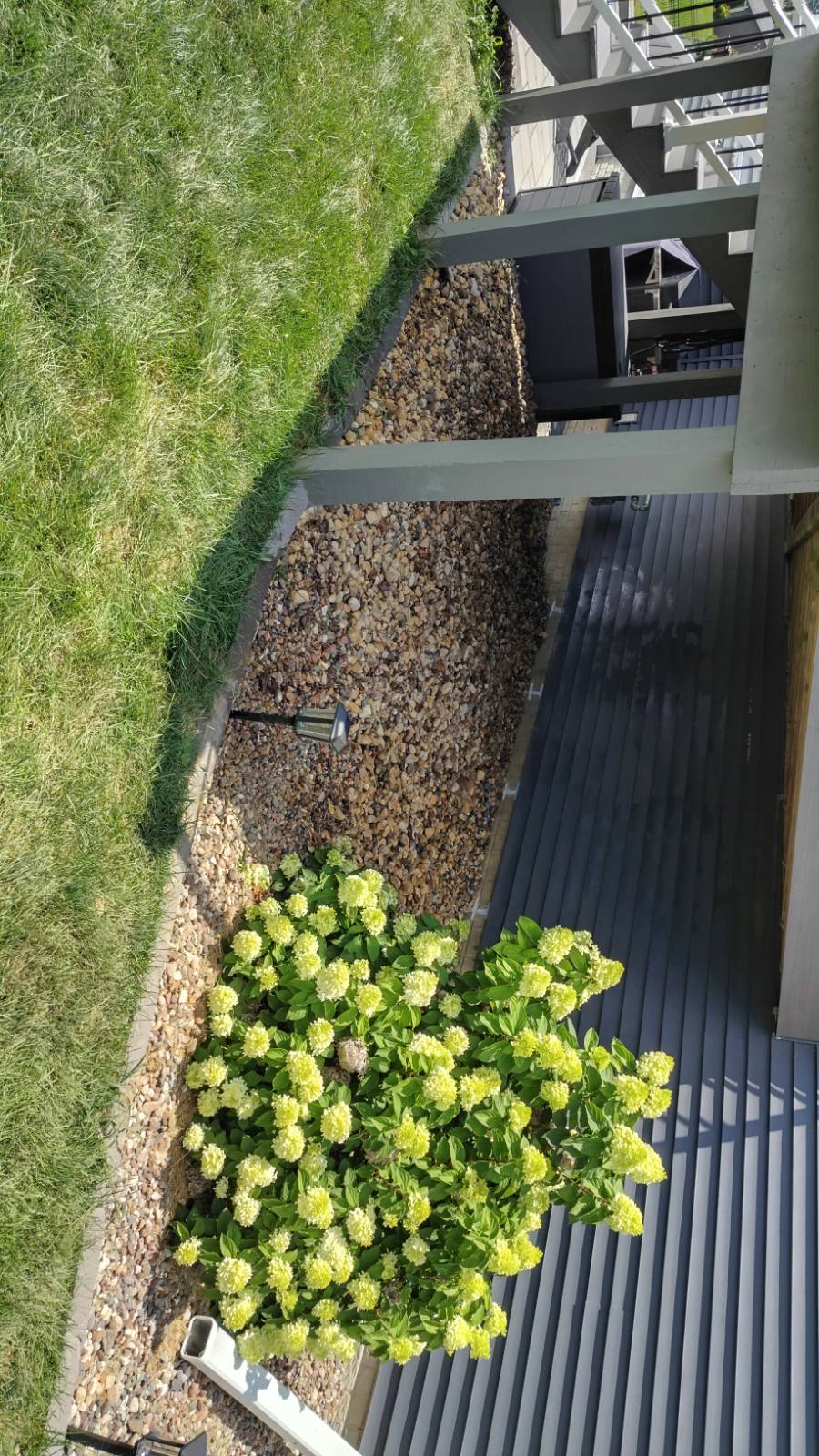 Excavated trench along the foundation, dug by hand to protect the yard