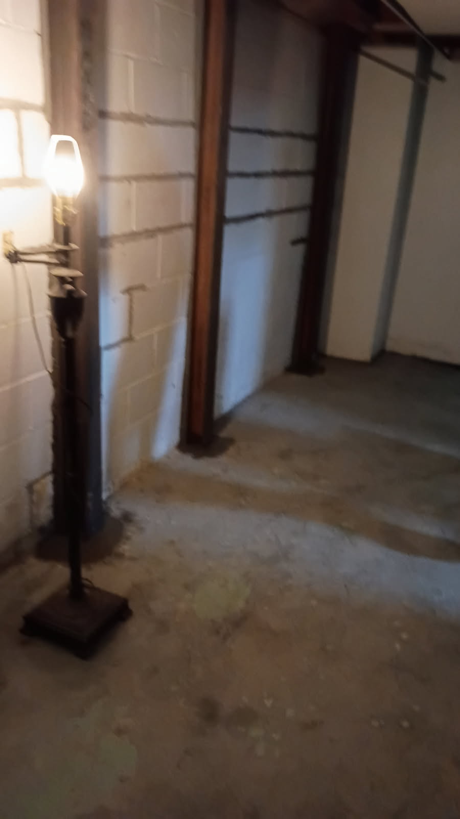 Row of steel I-beam braces along a basement wall after installation