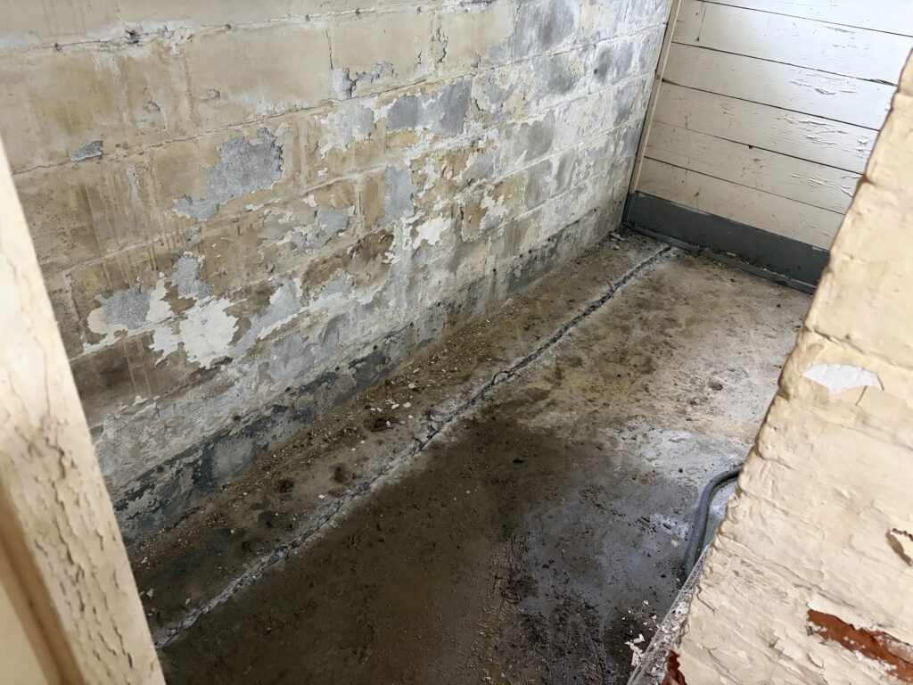 Water-stained block foundation wall with the basement floor cut open along its base